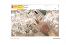 Lebrija 55000&nbsp;м²