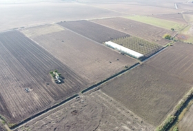 Lebrija 55000&nbsp;м²