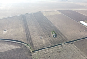 Lebrija 55000&nbsp;м²