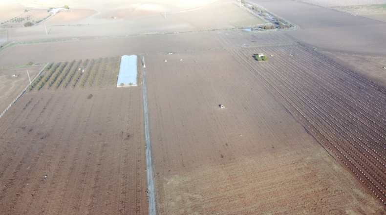 Sevilla - Lebrija - 55000m2