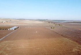 Lebrija 55000&nbsp;м²