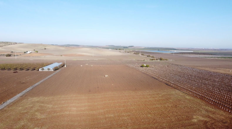 Sevilla - Lebrija - 55000m2