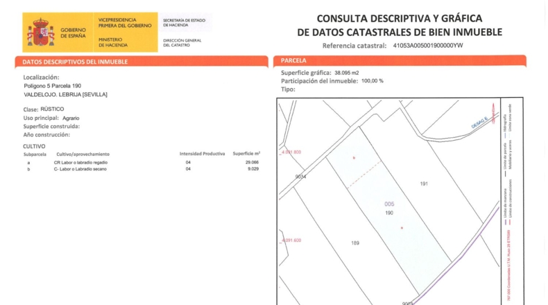 Sevilla - Lebrija - 55000m2