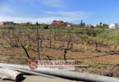 Non-developable land for sale in El Calvario ref: TR308025 photo