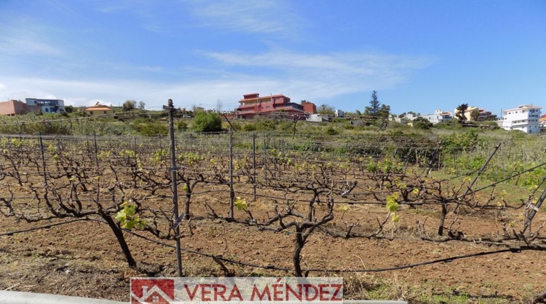 Santa Creu de Tenerife - El Calvario - 8650m2