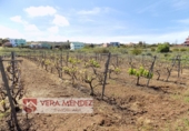 Non-developable land for sale in El Calvario ref: TR308025 photo