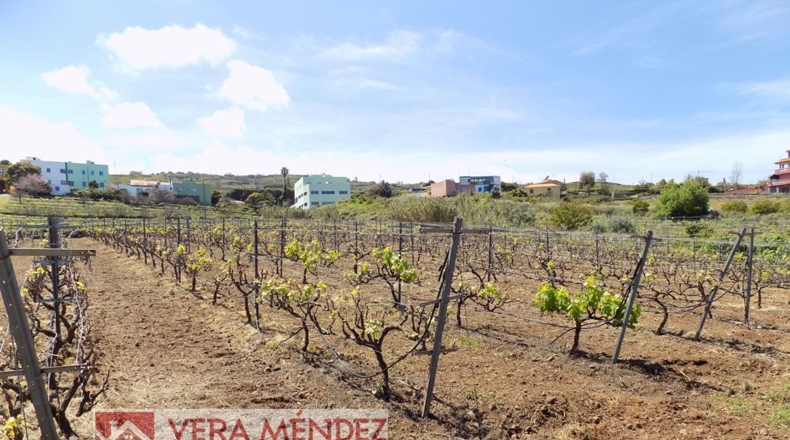Santa Creu de Tenerife - El Calvario - 8650m2
