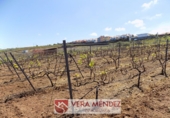 Non-developable land for sale in El Calvario ref: TR308025 photo