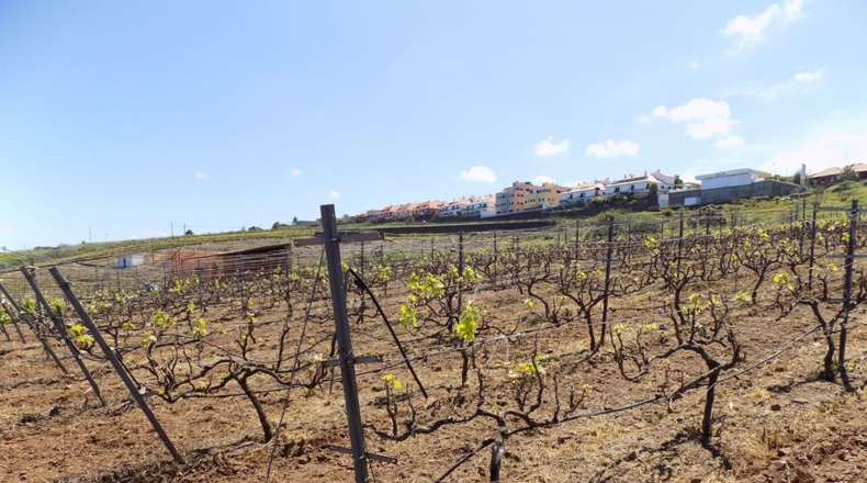 Santa Creu de Tenerife - El Calvario - 8650m2