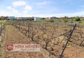 Non-developable land for sale in El Calvario ref: TR308025 photo