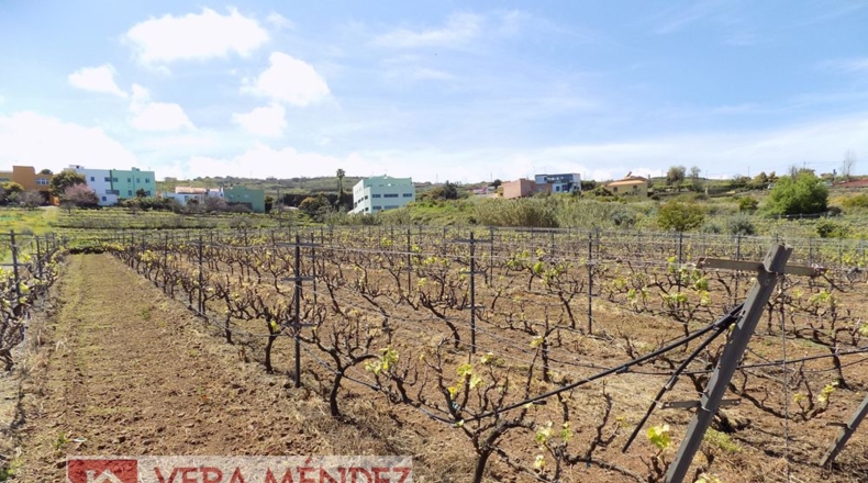 Santa Creu de Tenerife - El Calvario - 8650m2