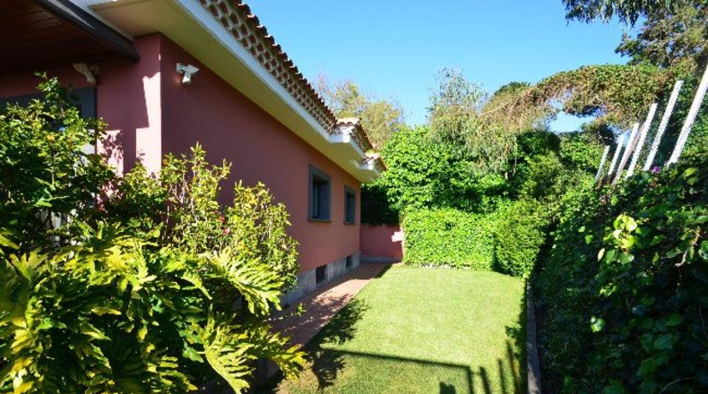Santa Cruz de Tenerife - Tacoronte - 1241m2