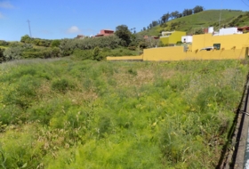Tacoronte 2000&nbsp;m² 