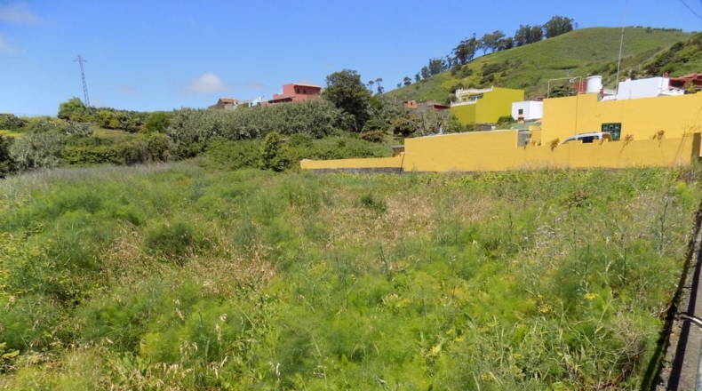 Santa Cruz de Tenerife - Tacoronte - 2000m2
