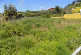 Tacoronte 2000&nbsp;m² 
