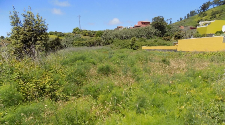 Santa Cruz de Tenerife - Tacoronte - 2000m2