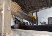 Rural estate for sale in Tacoronte ref: TR29833 photo