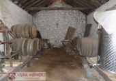 Rural estate for sale in Tacoronte ref: TR29833 photo