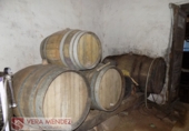 Rural estate for sale in Tacoronte ref: TR29833 photo