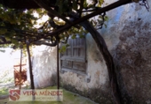 Rural estate for sale in Tacoronte ref: TR29833 photo