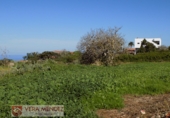 Rural estate for sale in Tacoronte ref: TR29833 photo