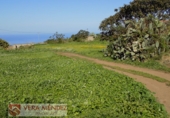 Rural estate for sale in Tacoronte ref: TR29833 photo