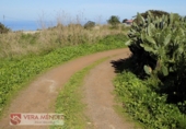 Rural estate for sale in Tacoronte ref: TR29833 photo