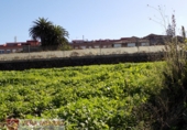 Rural estate for sale in Tacoronte ref: TR29833 photo