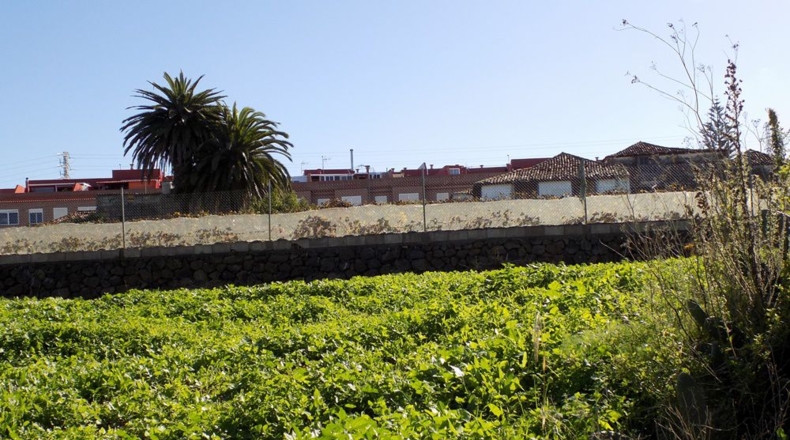 Santa Cruz de Tenerife - Tacoronte - 7200m2