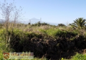 Rural estate for sale in Tacoronte ref: TR29833 photo