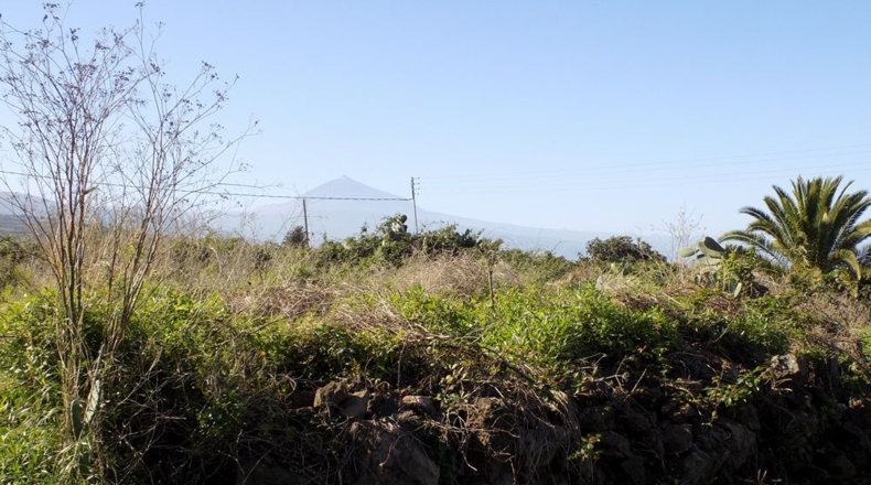 Santa Cruz de Tenerife - Tacoronte - 7200m2