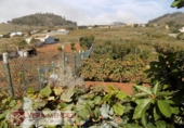 Finca rústica en venta en Tacoronte ref: TR92157 foto