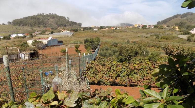 Santa Cruz de Tenerife - Tacoronte - 4500m2
