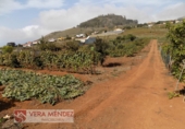 Finca rústica en venta en Tacoronte ref: TR92157 foto