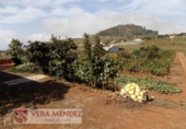 Finca rústica en venta en Tacoronte ref: TR92157 foto