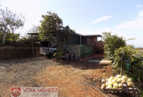 Tacoronte 4500&nbsp;m² 