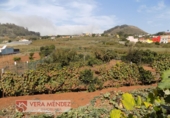 Finca rústica en venta en Tacoronte ref: TR92157 foto