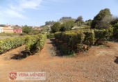 Finca rústica en venta en Tacoronte ref: TR92157 foto