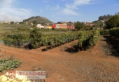 Finca rústica en venta en Tacoronte ref: TR92157 foto