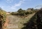Finca rústica en venta en Tacoronte ref: TR92157 foto