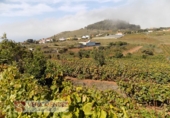 Finca rústica en venta en Tacoronte ref: TR92157 foto