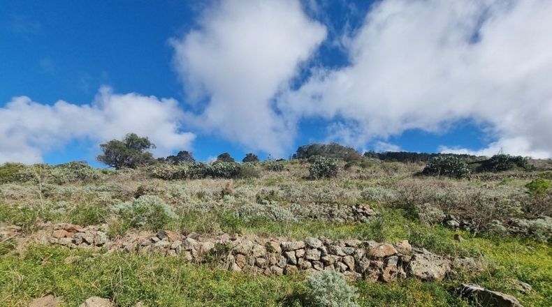 Santa Cruz de Tenerife - Tacoronte - 5734m2