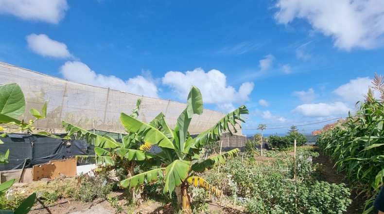Santa Cruz de Tenerife - San Cristóbal de La Laguna - 250m2