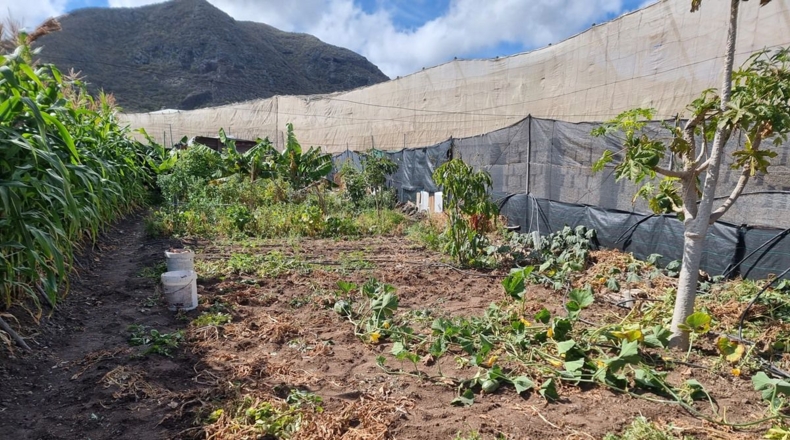 Santa Cruz de Tenerife - San Cristóbal de La Laguna - 250m2
