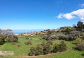 Non-developable land for sale in El Sauzal ref: TR181193 photo