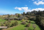Non-developable land for sale in El Sauzal ref: TR181193 photo