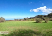 Non-developable land for sale in El Sauzal ref: TR181193 photo