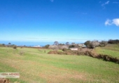 Non-developable land for sale in El Sauzal ref: TR181193 photo