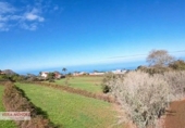 Non-developable land for sale in El Sauzal ref: TR181193 photo