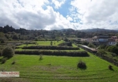 Non-developable land for sale in El Sauzal ref: TR181193 photo